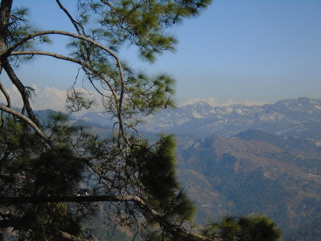 New Dolma Hotel Almora Exteriör bild